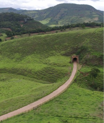 Alto Jequitibá