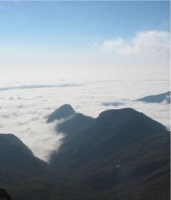 Pico da bandeira
