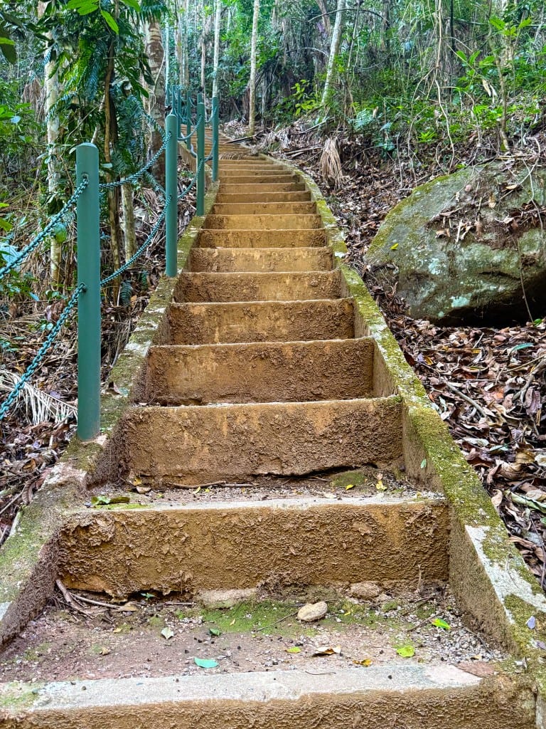 Escadaria na trilha ecológica em meio à mata